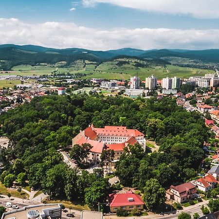 Palace Art Hotel Pezinok Eksteriør bilde